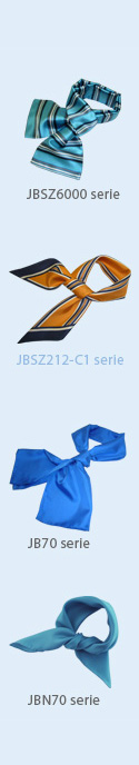 jbsz212 serie